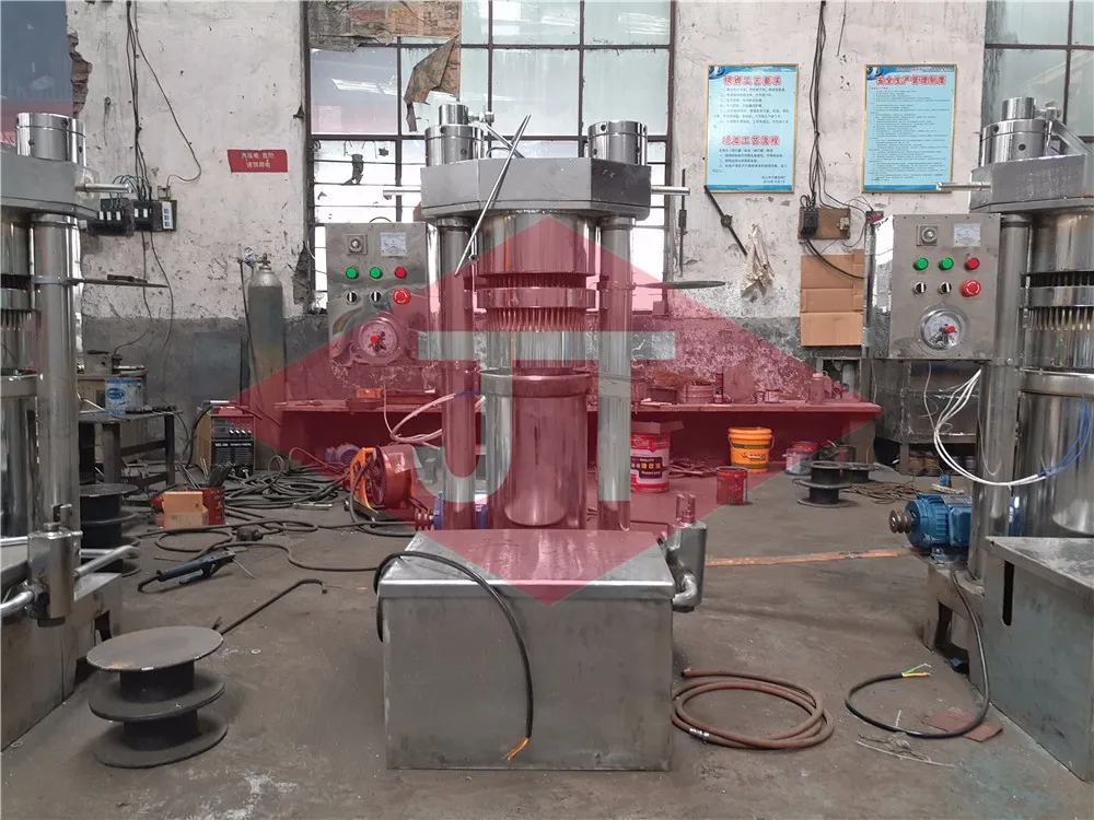 Malaysia Small Capacity Cocoa Cold Olive Press For Sale Home Use Buy