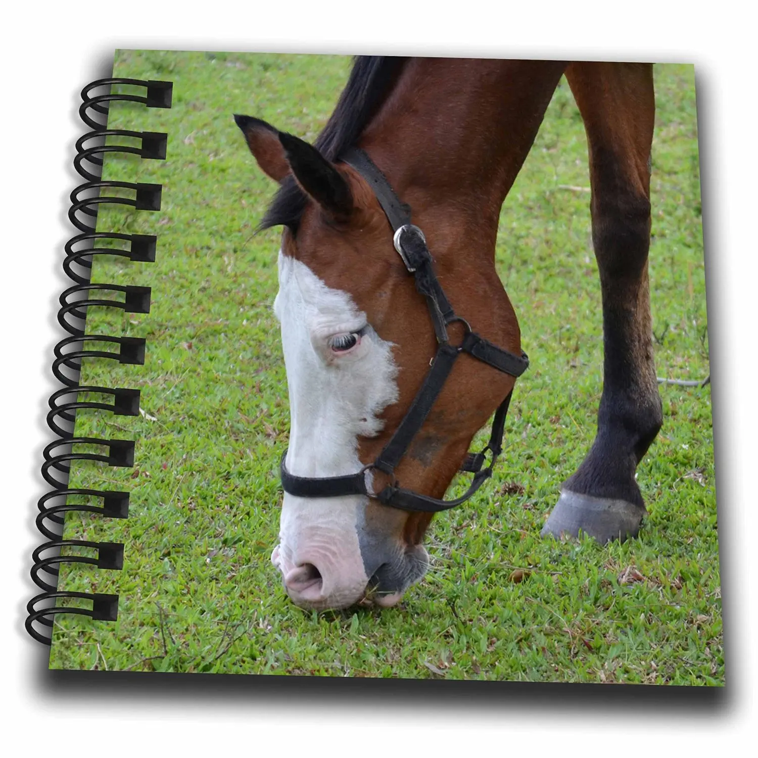 Susans Zoo Crew Animals - Horse Head Grazing White Face - Mini Notepad 4 x 4 inch (db_215989_3)