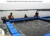 Fish Fry Breeding Net in Lake, River