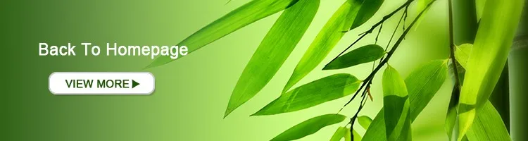 back to homepage.jpg