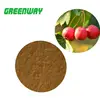 hawthorn extract vitexin 2% 10% hawthorn berry leaf extract treat arrhythmias
