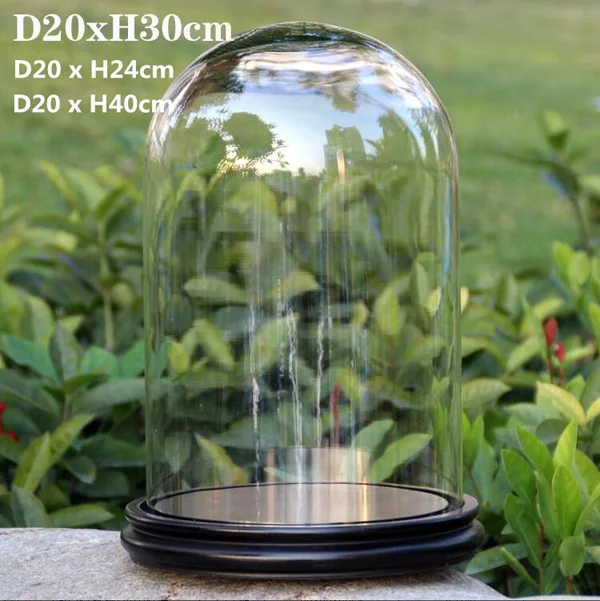 D15xh40cm New Product Large Glass Dome Glass Display Dome With Wooden