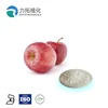 Apple powder Apple Extract polyphenols