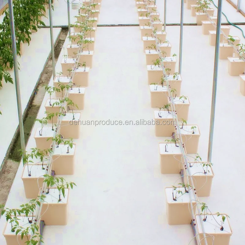 Auto Pot System Aquaponic System Dutch Bucket for sale