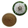 Improve liver function 4%~10% Flavonoids Taraxacum officinale dandelion root extract powder