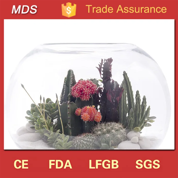Hot sale sphere shape large glass fish bowl decorations