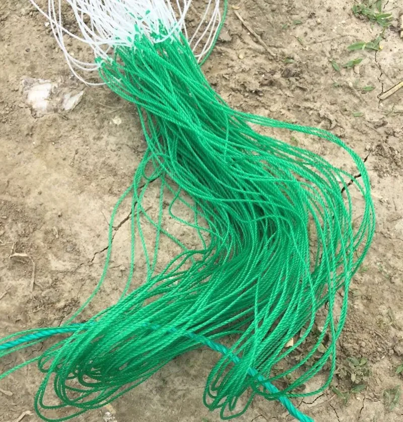 Knotted Hdpe Cucumber Supportg Climbing Net From China Factory Buy