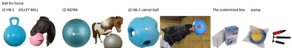 horse play ball -7.jpg