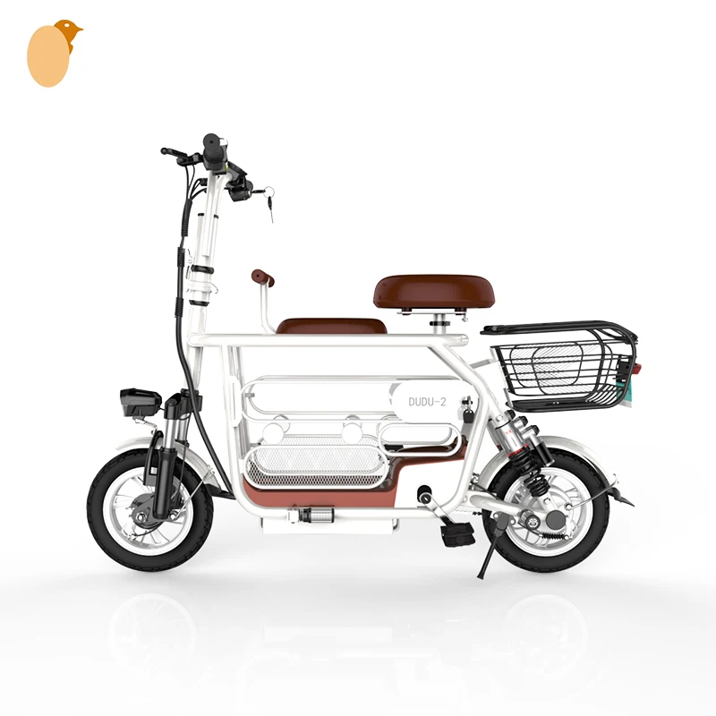 electric bicycle 2 seater