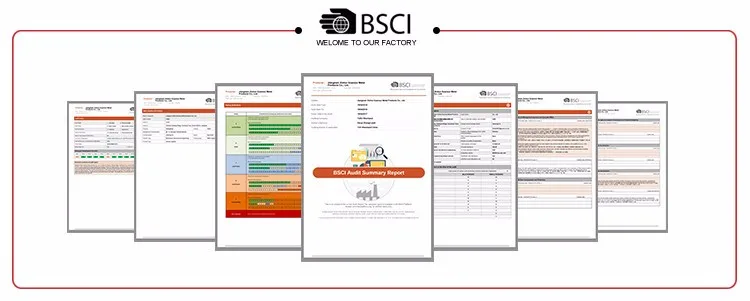 bsci2
