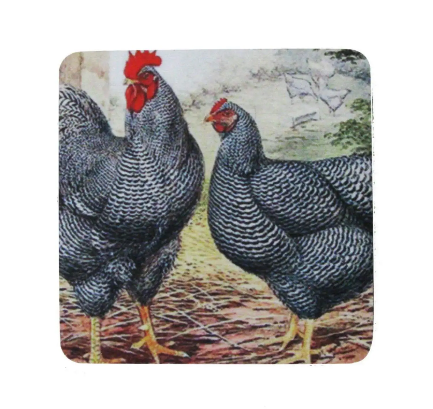 Pack of 8 Rural Farm Rooster & Hen Antique Style Print Cocktail Drink Coasters 4"