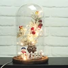 2019 New Design Best Gift Cheap Wholesale Christmas Decoration Mini Views In Glass Dome With LED Light