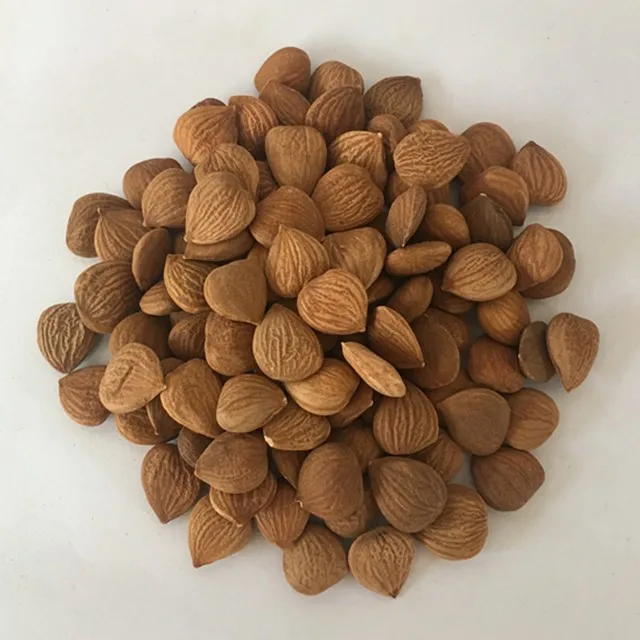 
Manufacturer OF Organic bitter apricot kernels b17 cancer cure 