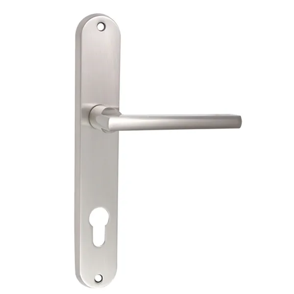 back door handles with lock