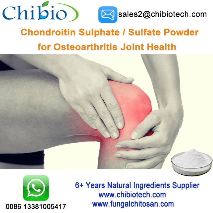 Purity 90 Raw Material Sodium Chondroitin Sulfate Powder Sourced From Porcine For Joint Health