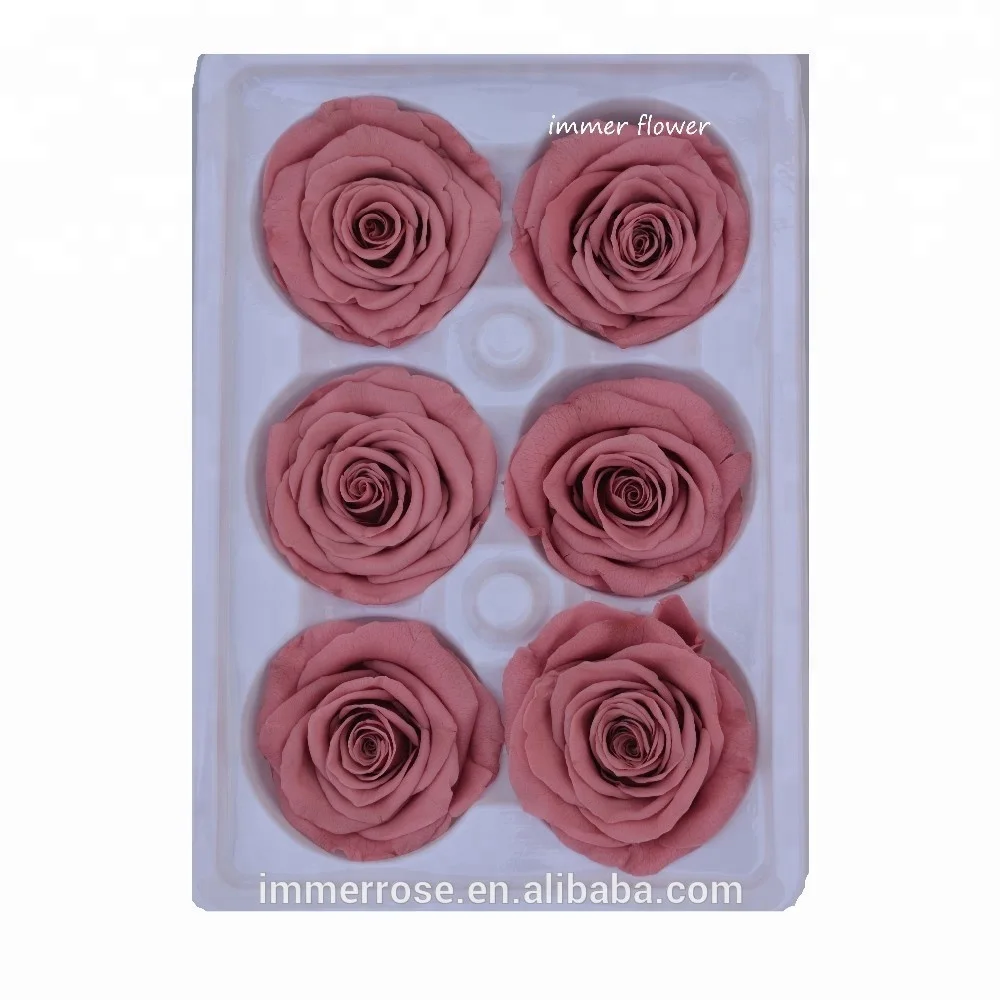 Single Stem Roses Preserved Flower Preserved Natural Real Long Rose