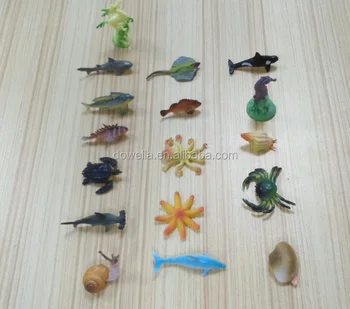 78 Gambar Hewan Laut Mimi HD Terbaik