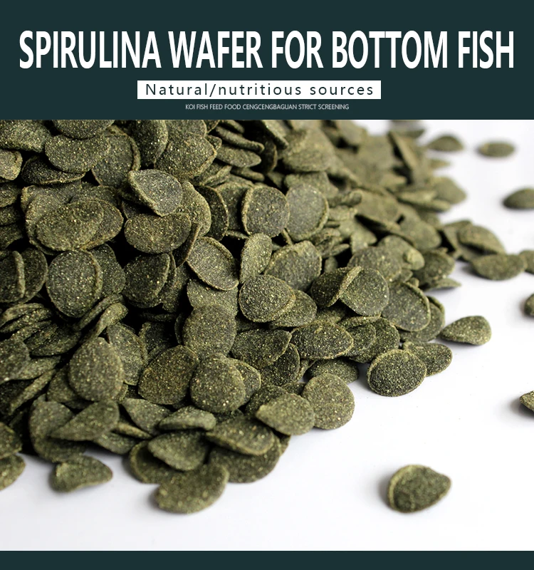 algae tablets for fish