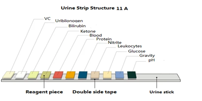 11 Parameters Semi auto Urine Test Machine, Urine Strips Reader