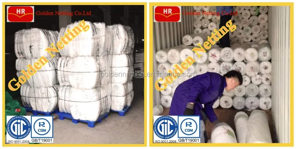 Greenhouse Netting Anti Fly Insect Net For Vegetable Gardens - Buy Mesh