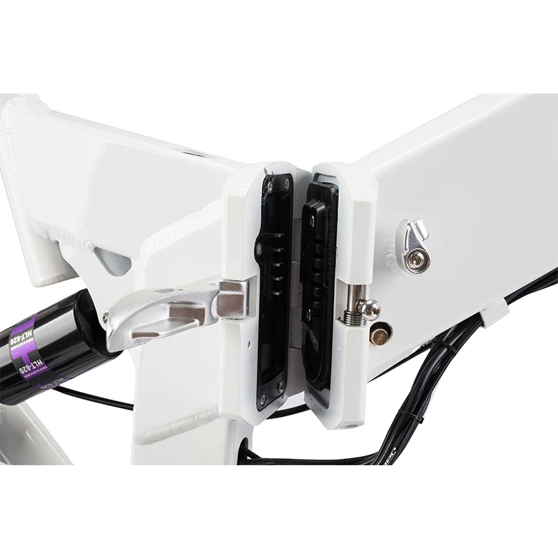 20inch Aluminum alloy frame folding electric bicycle 36V 250W electric foldable bike