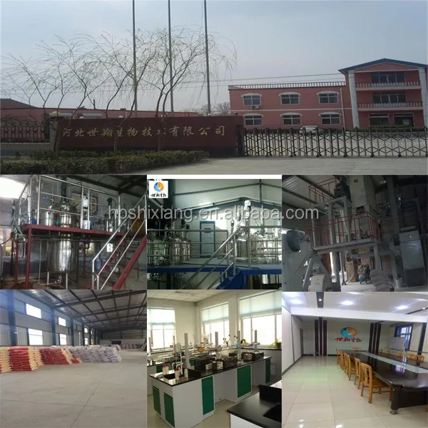 Hebei shixiang company