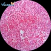 Mixed set prepared slides,prepared slides for microscope,how to make microscope slides