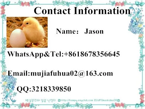 3d325a6561bfb93c9de15_