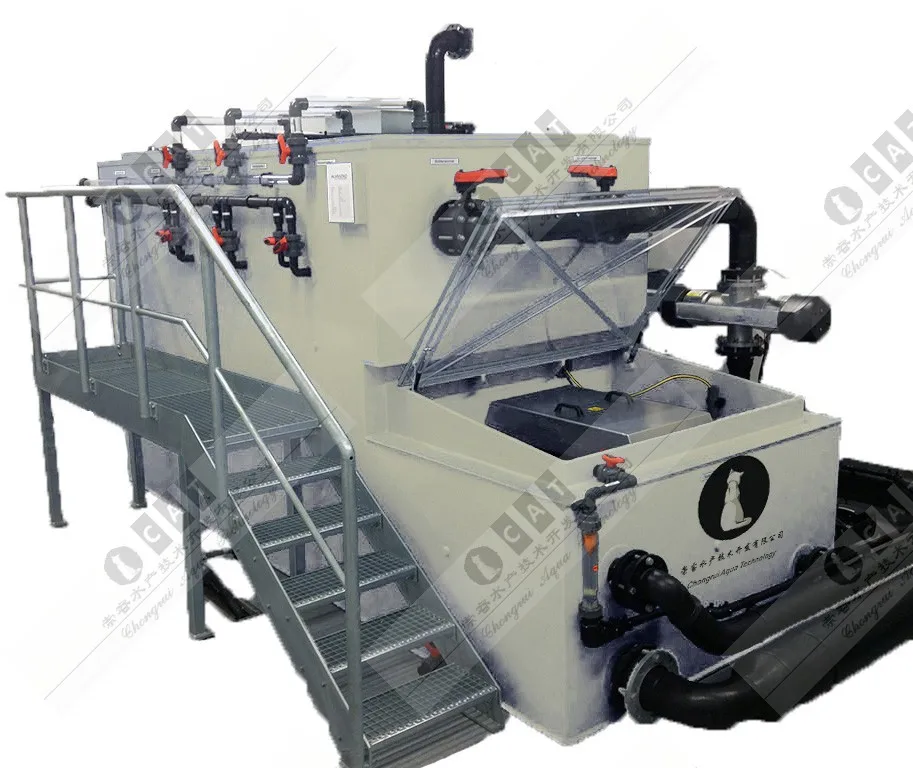 RAS Recirculating Aquaculture System Indoor Aquaculture Equipment for