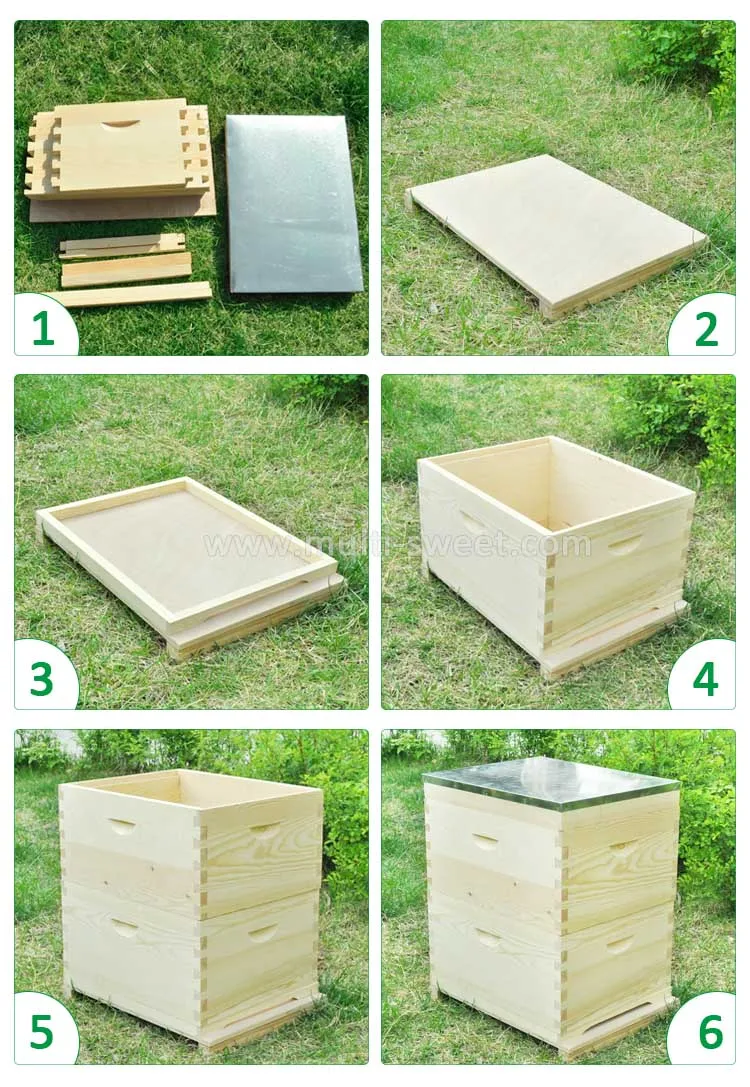 bee hive 1.jpg