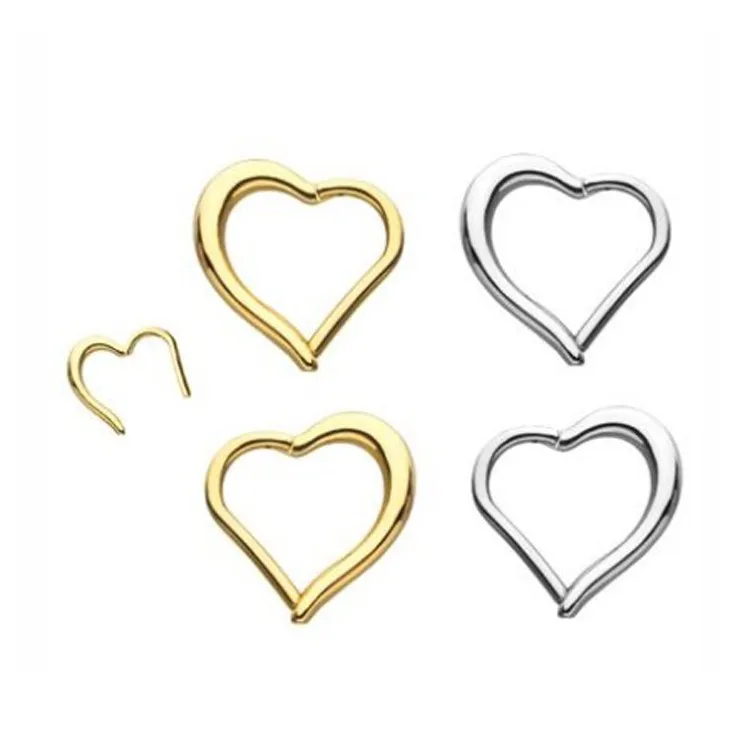 Heart Septum Segment ring.jpg