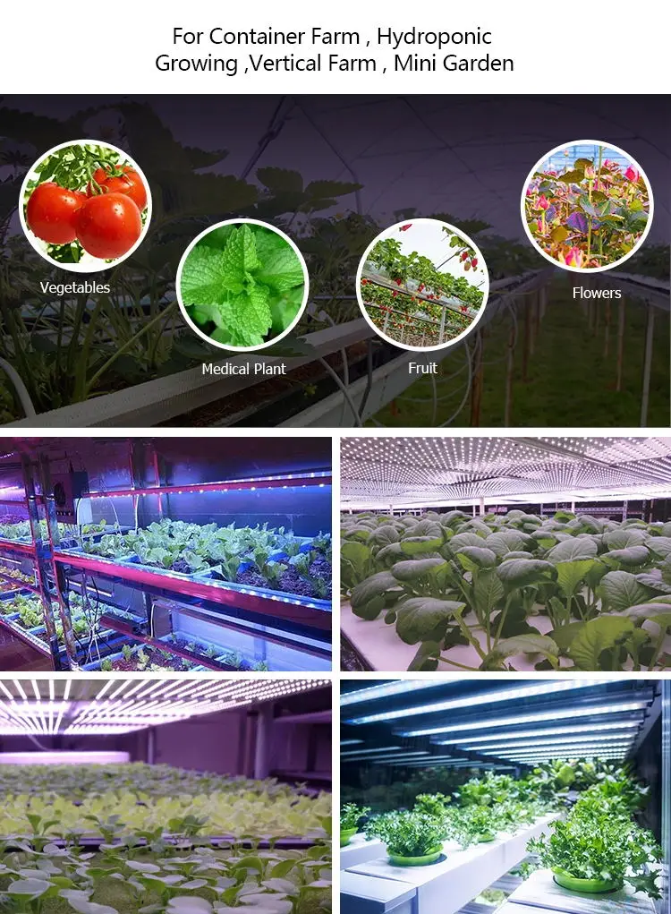 便宜的价格大麻10 W Led 生长灯条 Buy Led 生长灯条 大麻led 生长灯 10 W Led 生长灯product On Alibaba Com