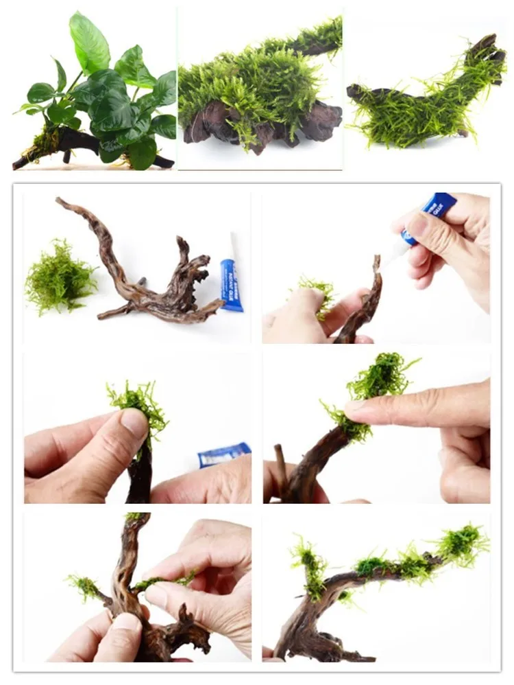 Wholesale Natrual Decorative Aquarium Driftwood Buy Driftwood