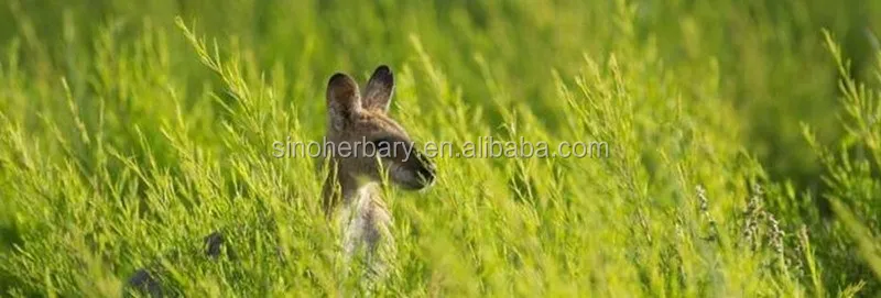 slider_image1.png.jpg
