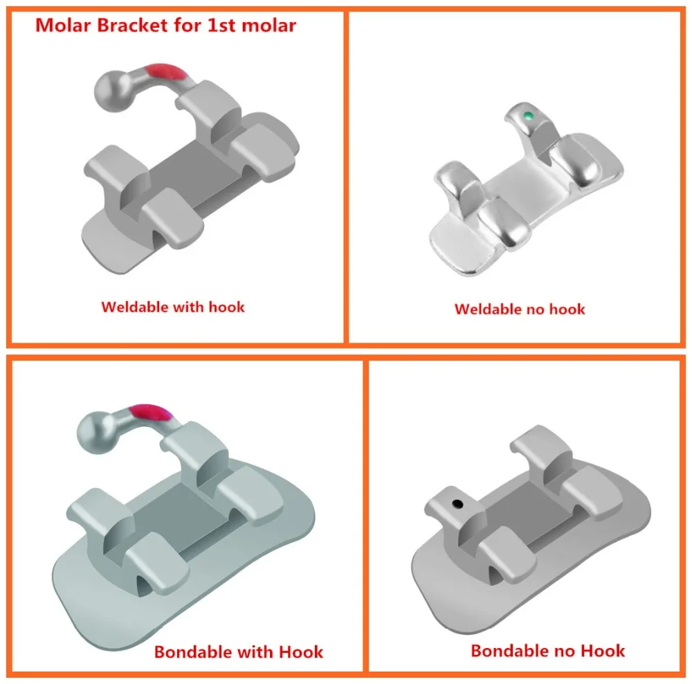 Dental Roth Molar Bracket,Orthodontic Brackets,Dental Accessories Buy