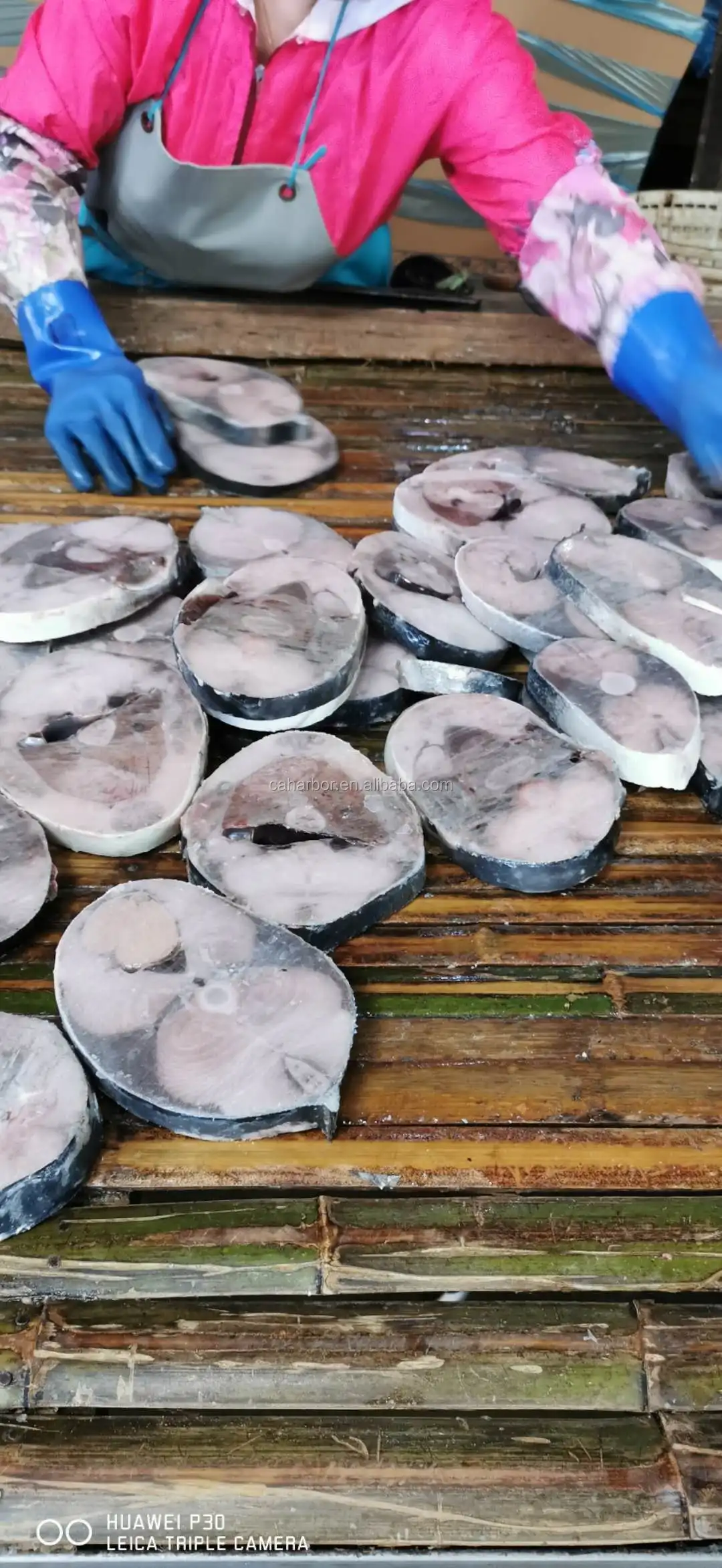 冷冻黄尾鱼块营销 - buy frozen yellow tail horse mackerel,fish