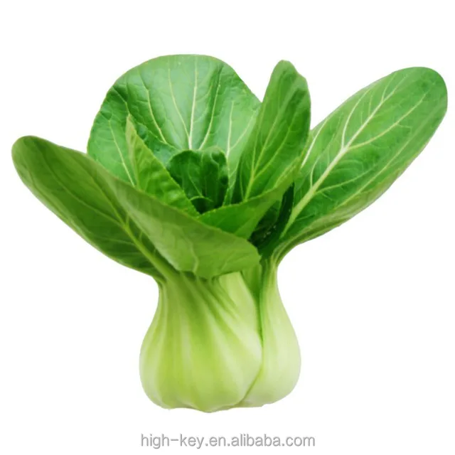 s087 xiao qing cai green food small greens vegetable seeds for