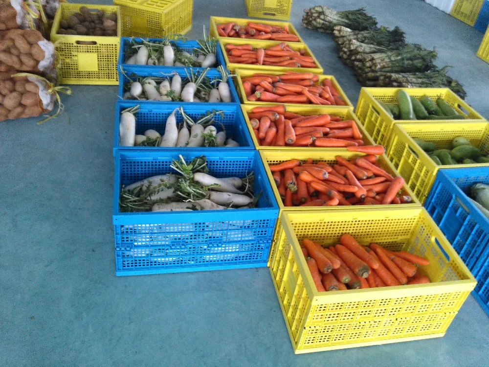 Fruit Basket Rack Plastic Milk Crate Plastic Food Container Foldable