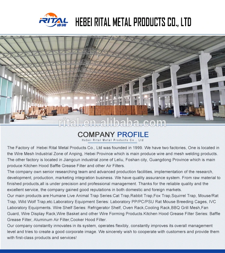 company
