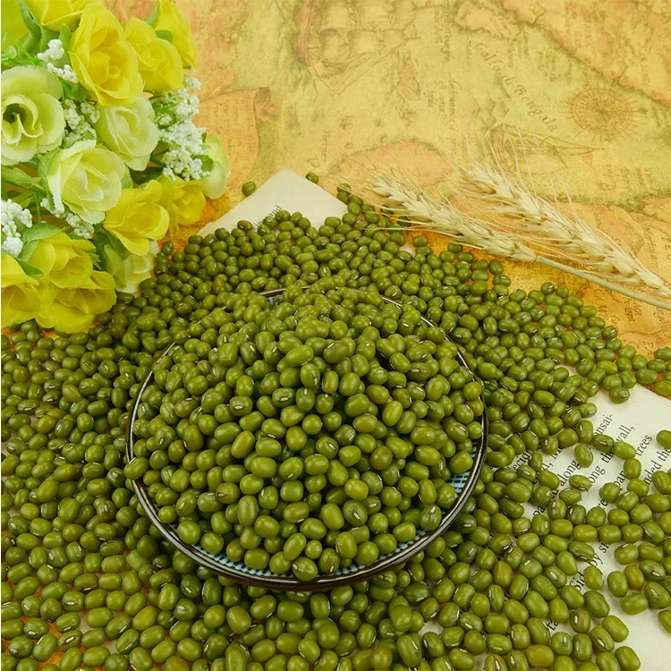 Organic Sprouting green mung beans