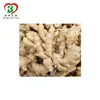 Natural Gingerols Extract Powder 5%, 10%, 15% ,25% Dried Ginger Extract