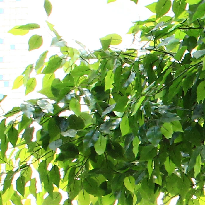 outdoor decoration tree artificial plastic banyan ficus tree