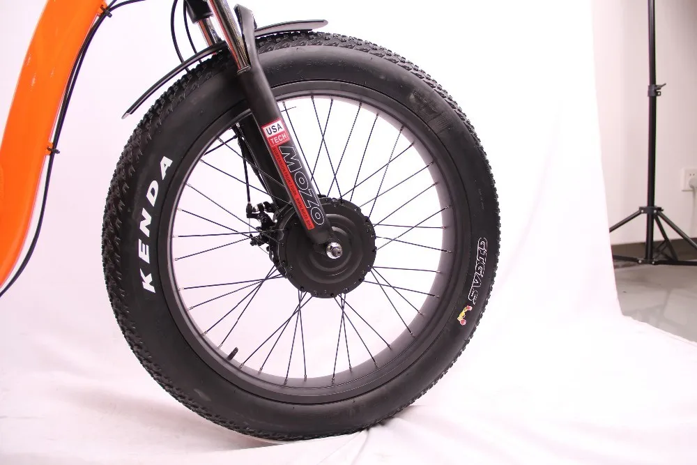 3 wheel fat tire electric bike