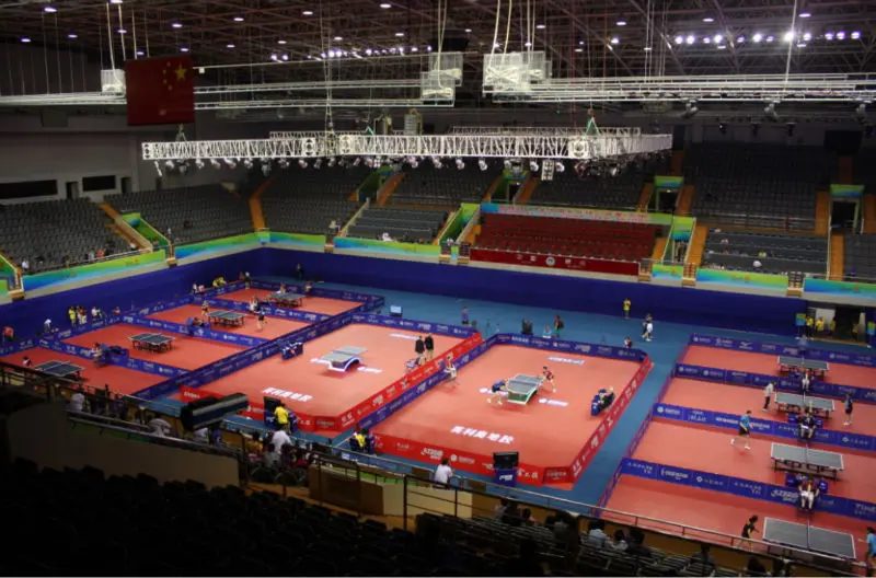 Enlio Ittf Certified Pvc Mat/affordable Plastic Mat/premium Table