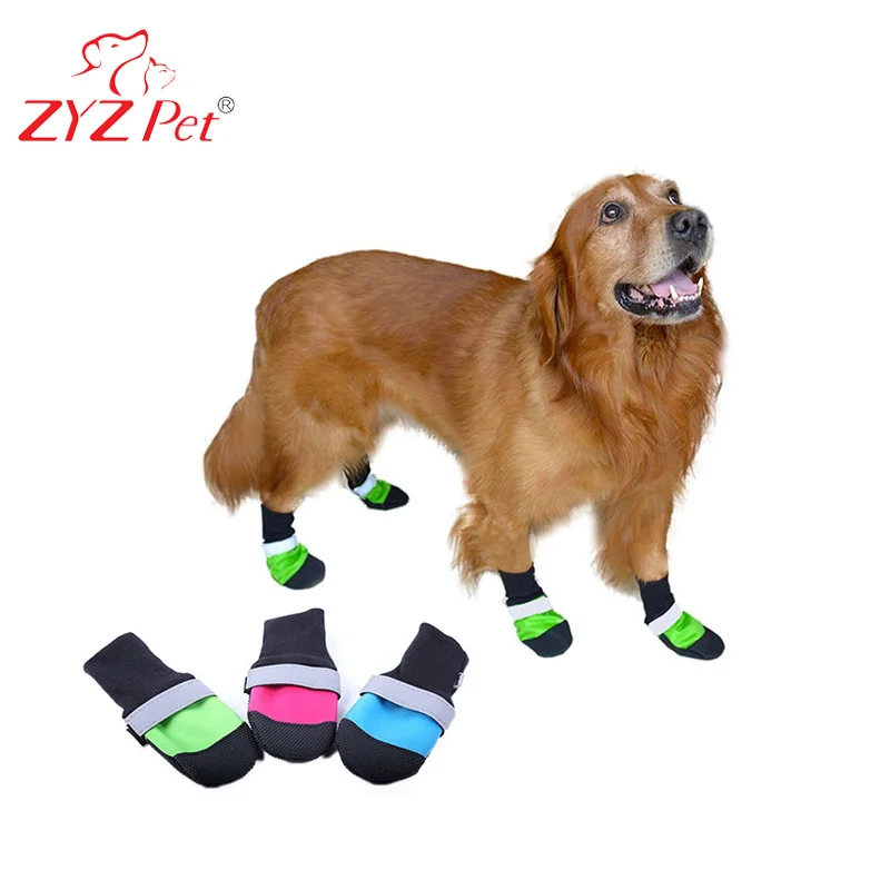 dog boots for tiny dogs