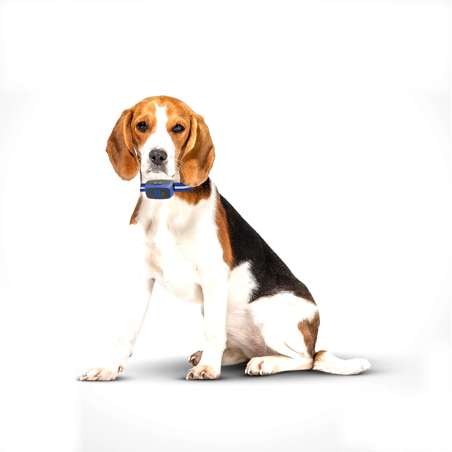 humane electric dog no barking system anti bark devices factory