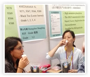 Huangshan High mountain factory competitive price chunmee green tea 41022