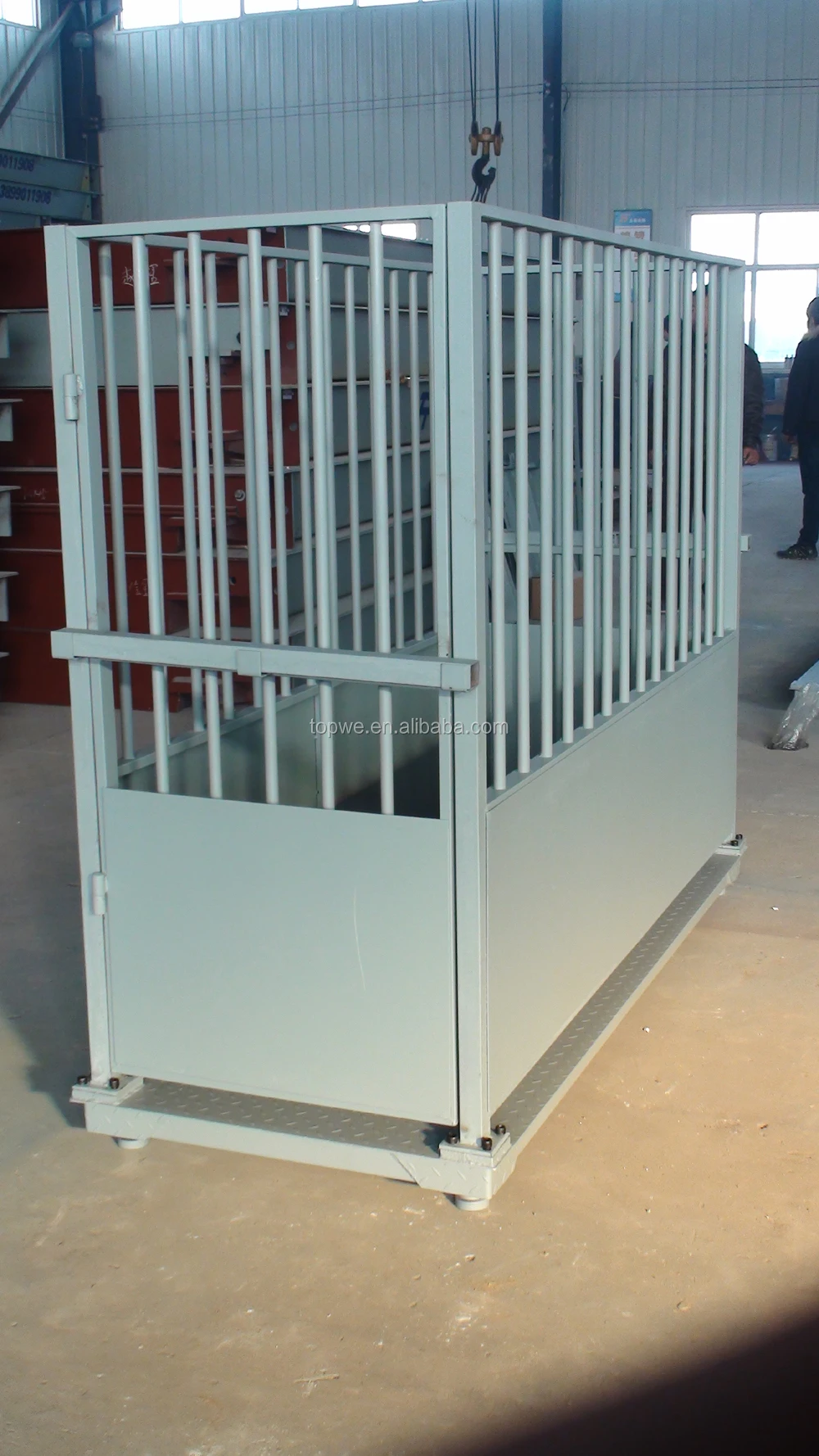 Used Livestock Weighing Scale For Pig - Buy Used Livestock Scales,Pig