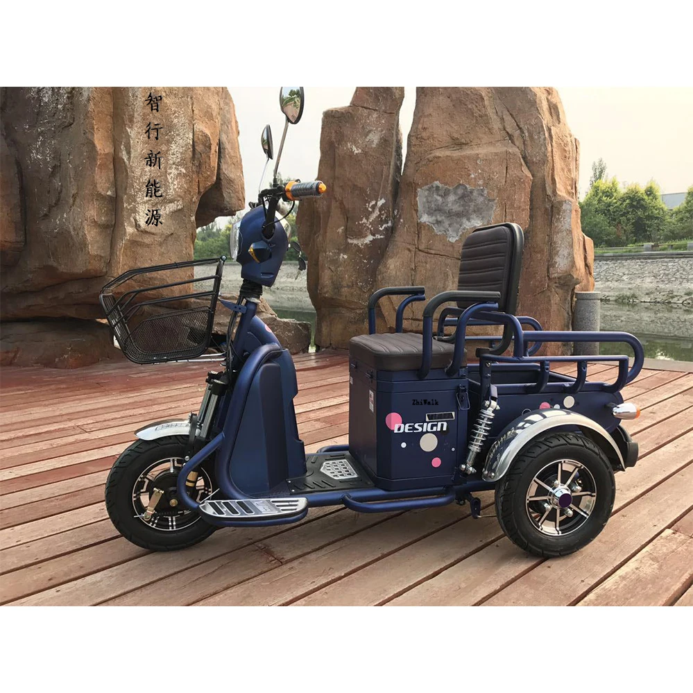 tricycle for handicapped online
