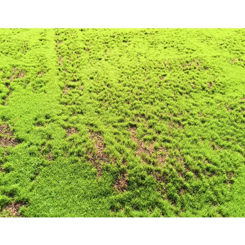 wholesale artificial peat moss mat wall panel art, green moss for decoration